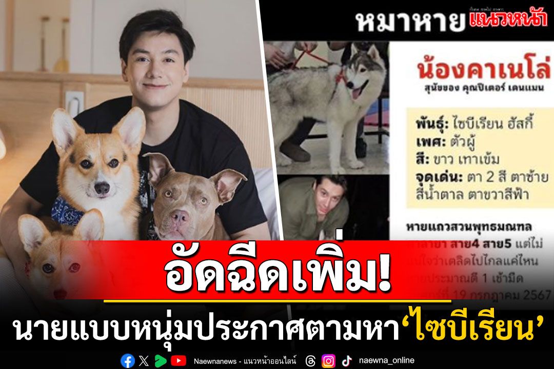 อัดฉีดเพิ่ม! นายแบบหนุ่มประกาศตามหาสุนัข'ไซบีเรียน' ใครเจอรับไปเลย1แสน-นาฬิกาหรู