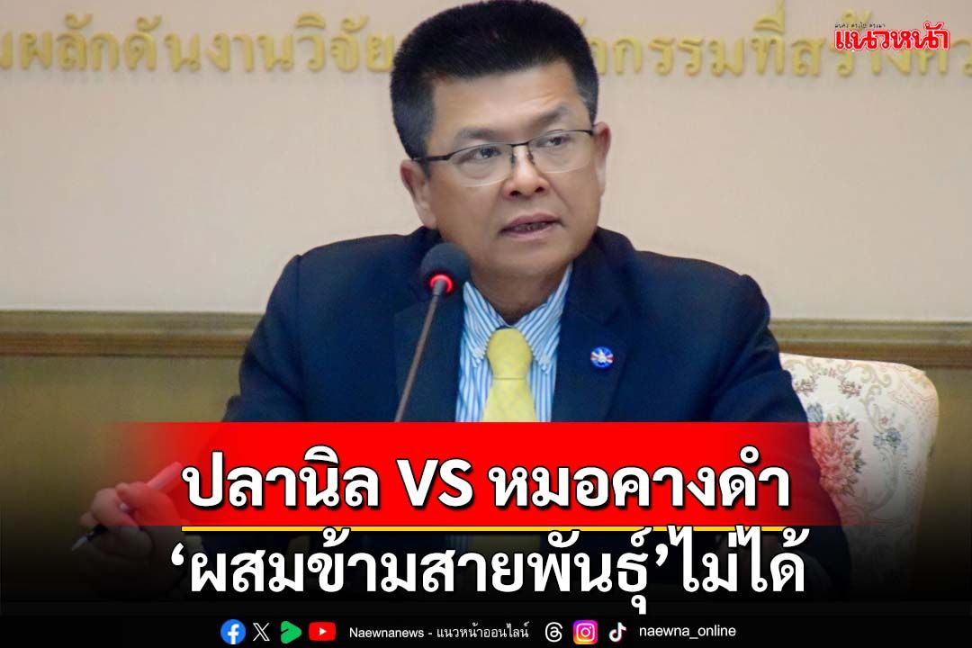 ‘กรมประมง’ยืนยัน‘ปลานิล-ปลาหมอคางดำ’ไม่ผสมข้ามสายพันธุ์ แถมเจอกันยังกัดแหลก