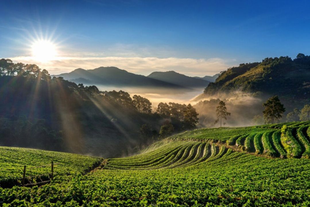 สวนทวีชลมีที่พักอะไรบ้าง แนะนำ 5 ที่พักสวยใกล้ชิดธรรมชาติ