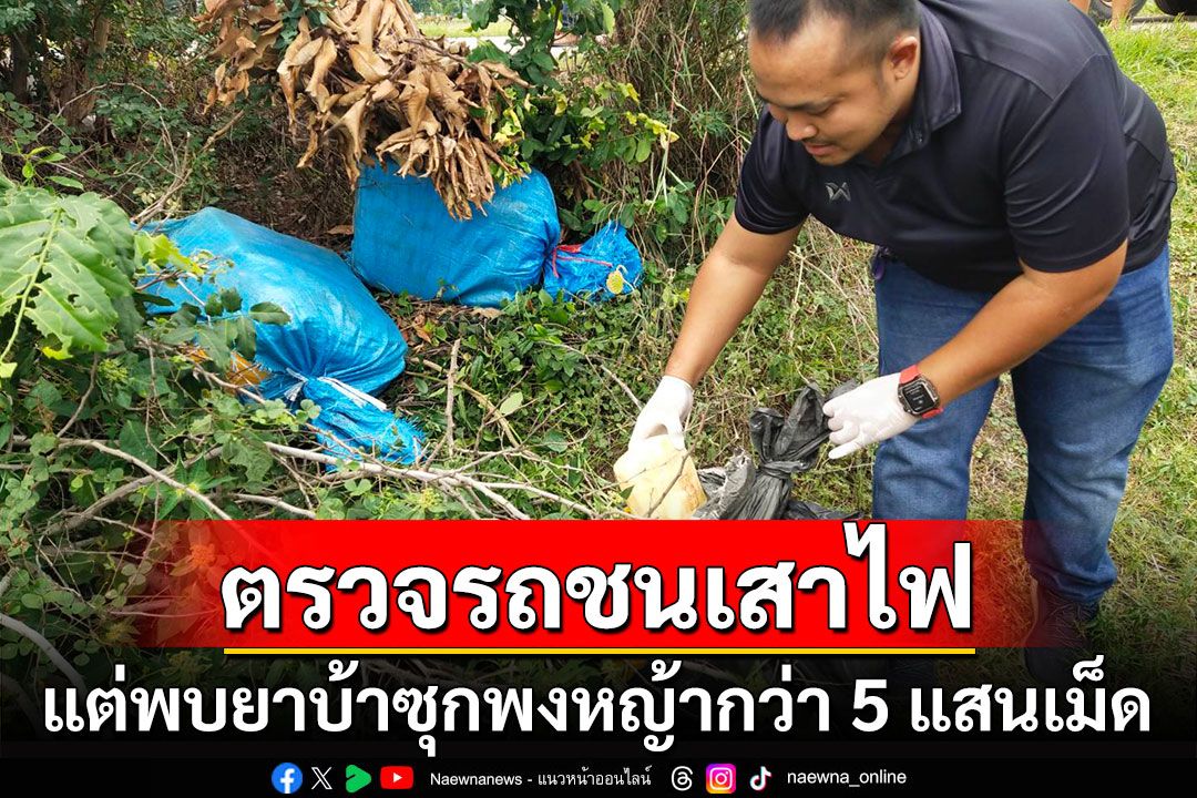 ตร.ไปตรวจเหตุรถชนเสาไฟ แต่พบยาบ้าซุกพงหญ้ากว่า 5 แสนเม็ด