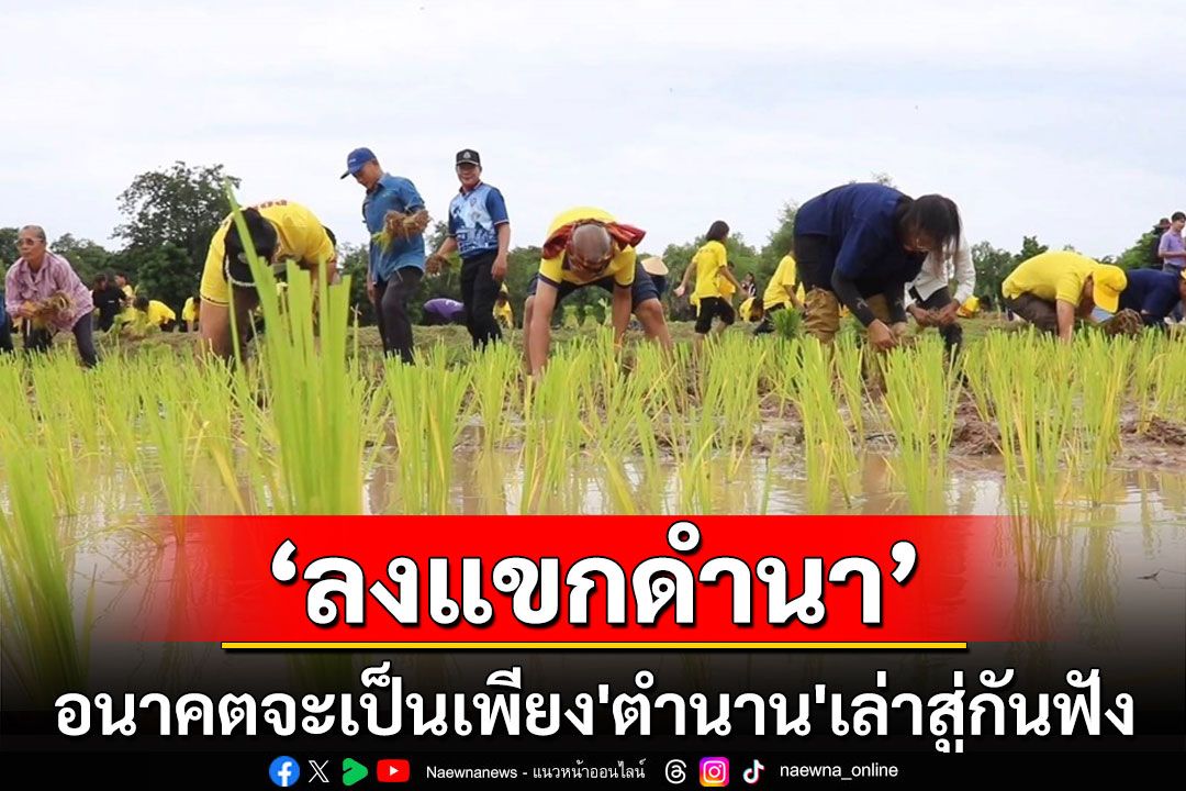 อนาคต'ลงแขกดำนาเกี่ยวข้าว'จะเป็นเพียง'ตำนาน'เอาไว้เล่าสู่สืบต่อกันฟัง