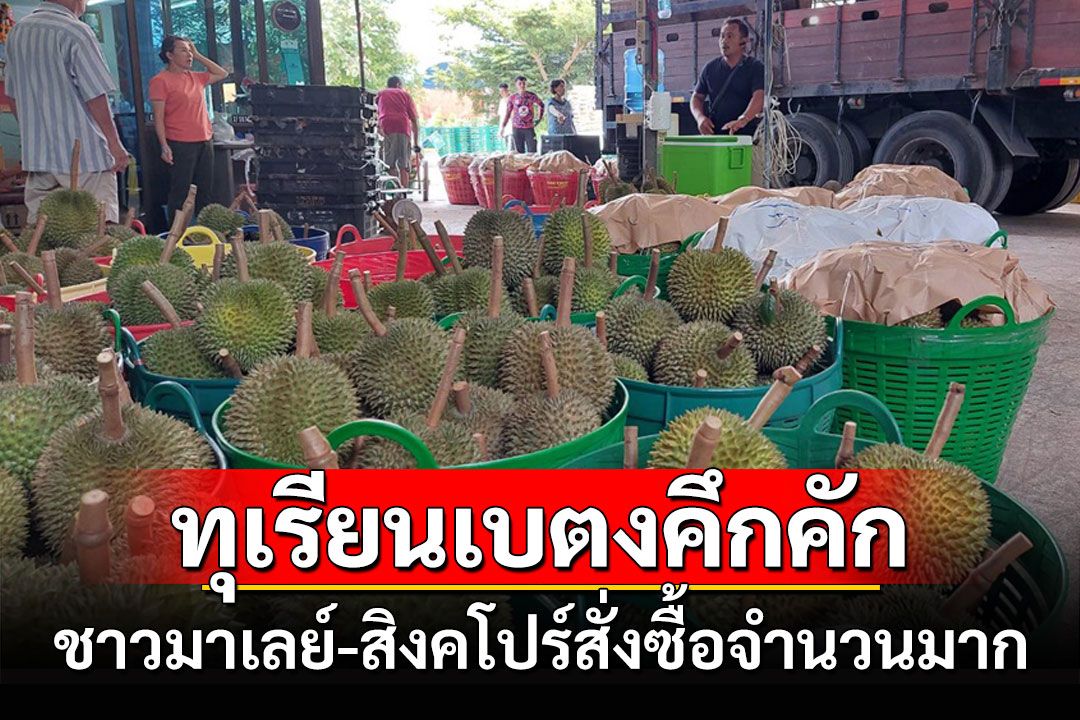 ตลาดขายส่งทุเรียนเบตงคึกคักชาวมาเลย์-สิงคโปร์สั่งซื้อจำนวนมาก