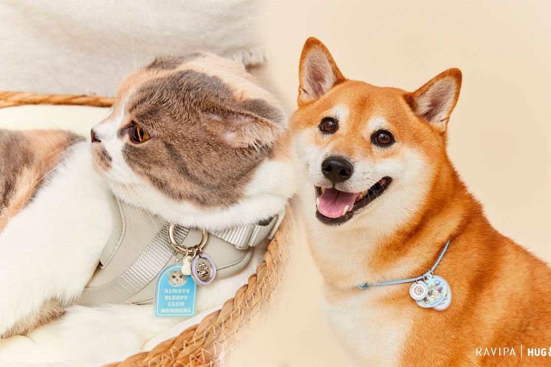RAVIPA เปิดตัว Hug & Paws Lucky Charm เครื่องรางปกป้องดูแลสัตว์เลี้ยงแสนรัก
