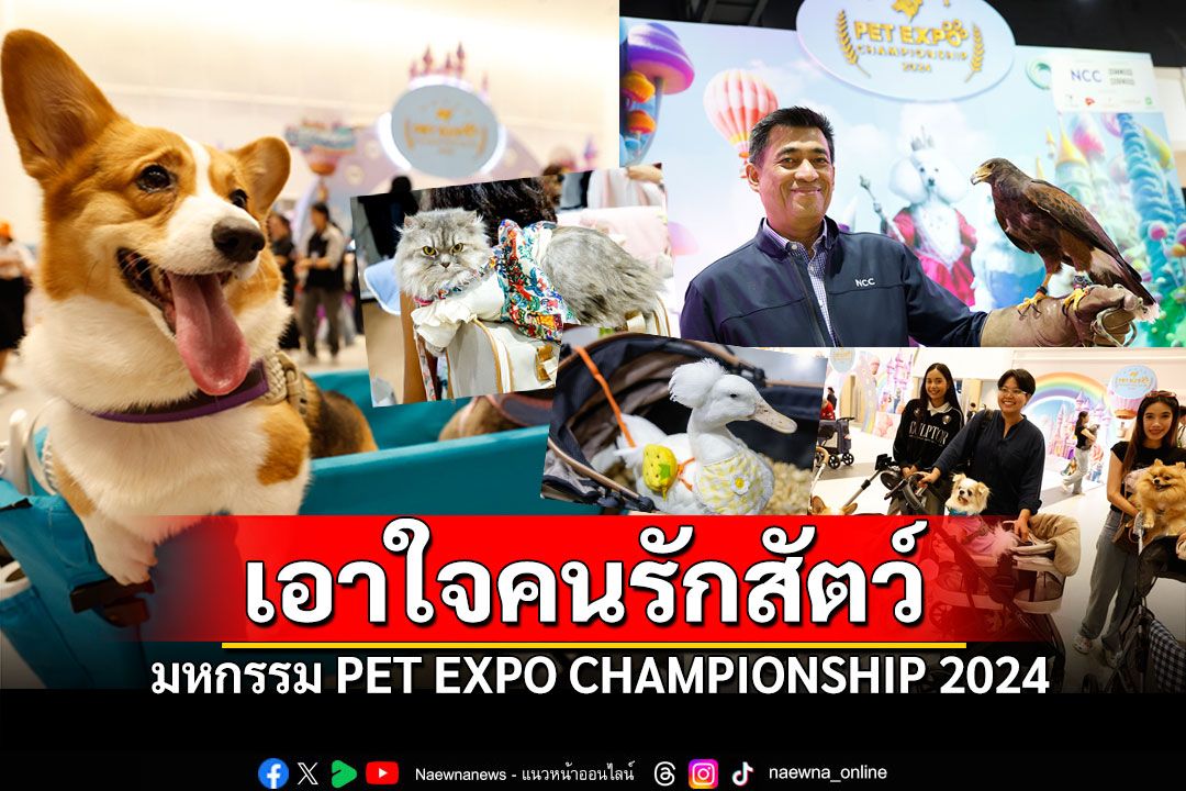 เปิดฉากมหกรรม PET EXPO CHAMPIONSHIP 2024 สนุกสุดๆ 4 วันเต็มกับเพื่อนรักสี่ขา Pet in Wonderland
