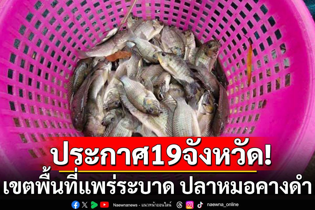 ราชกิจจาฯเผยแพร่ประกาศ เขตพื้นที่แพร่ระบาด ปลาหมอคางดำ ใน 19 จังหวัด 