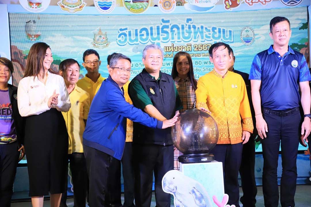 ยิ้มรับ'วันพะยูนแห่งชาติ' หลัง'พะยูนไทย-หญ้าทะเล'สมบูรณ์ขึ้น