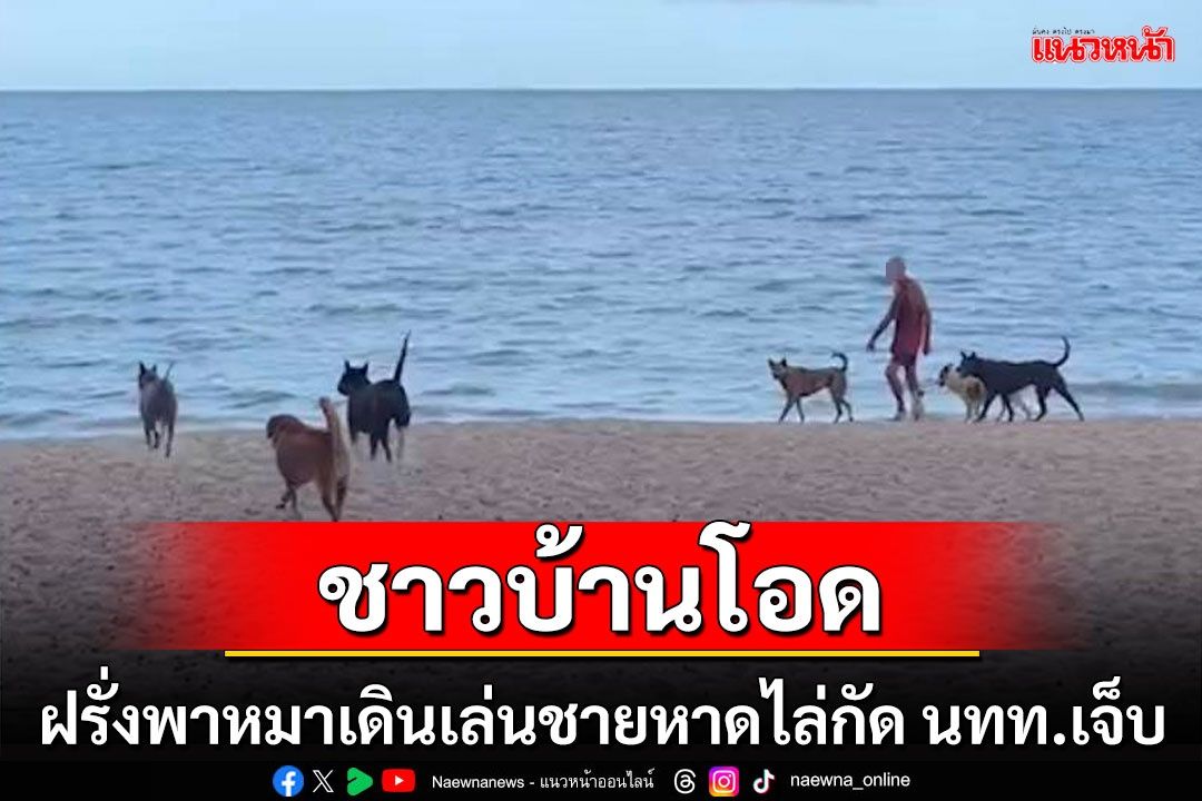 ชาวบ้านโอดฝรั่งเลี้ยงหมาพาเดินชายหาดไล่กัดนักท่องเที่ยวเจ็บแล้วกว่า 10 ราย