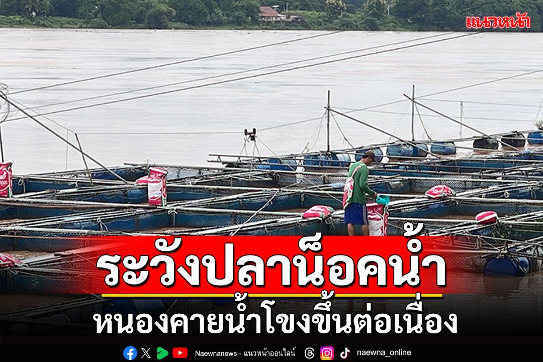 หนองคายน้ำโขงขึ้นต่อเนื่องวันที่4 เตือนระวังปลาน็อคน้ำ