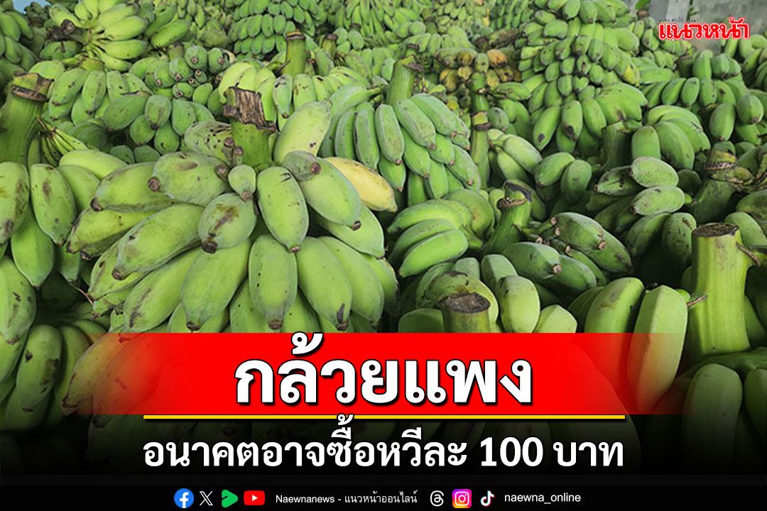 กล้วยแพง! ผู้ประกอบการห่วง อนาคตซื้อหวีละ100บาท