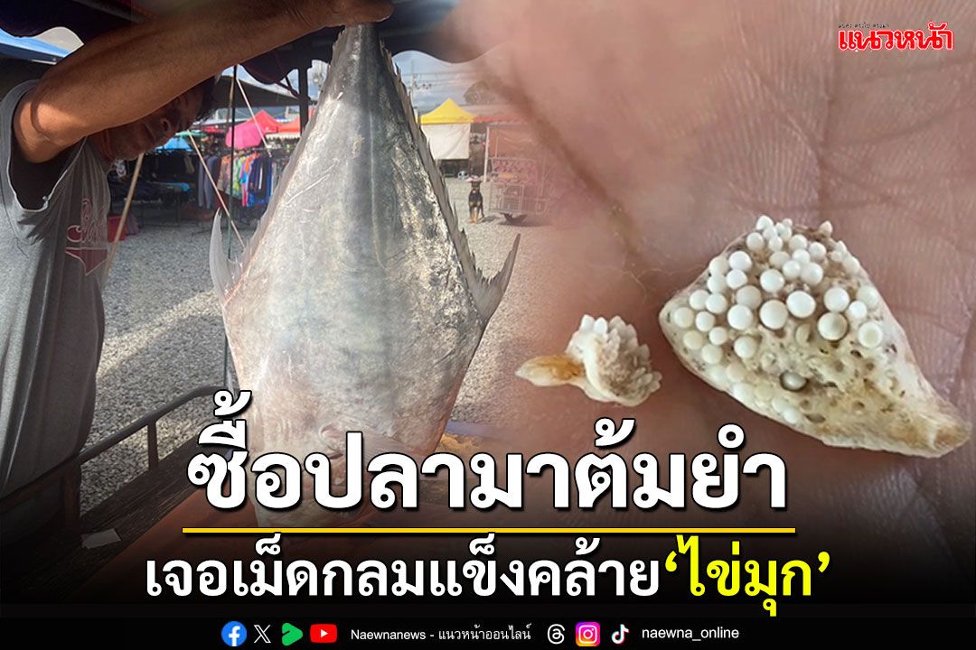 ซื้อปลามาต้มยำ! เจอของแข็งคล้ายไข่มุก ในอวัยวะภายใน'ปลาโฉมงาม'