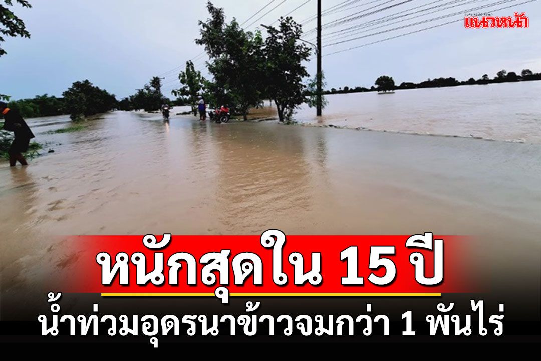 ชาวนาอุดรกระอักฝนตกหนักน้ำทะลักท่วมไร่นากว่าพันไร่เตือนพื้นที่ท้ายน้ำสงครามรับมือ