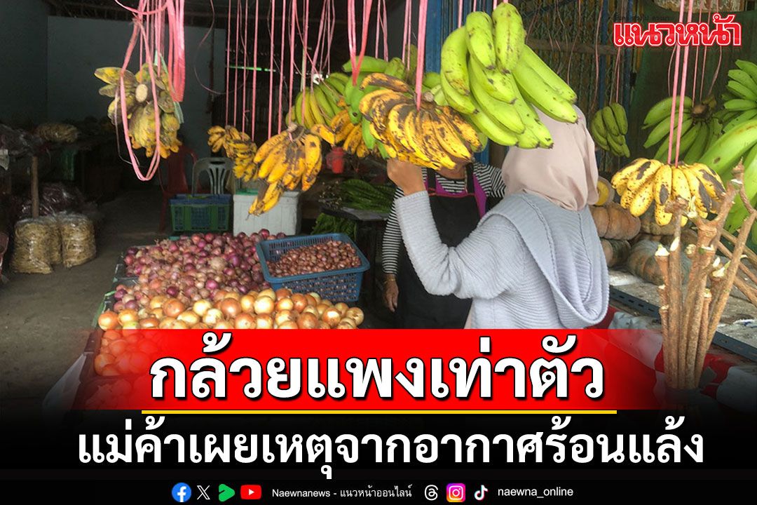 แม่ค้าเผยเหตุกล้วยน้ำว้าราคาพุ่งเท่าตัว เหตุอากาศร้อน-ยืนต้นตาย