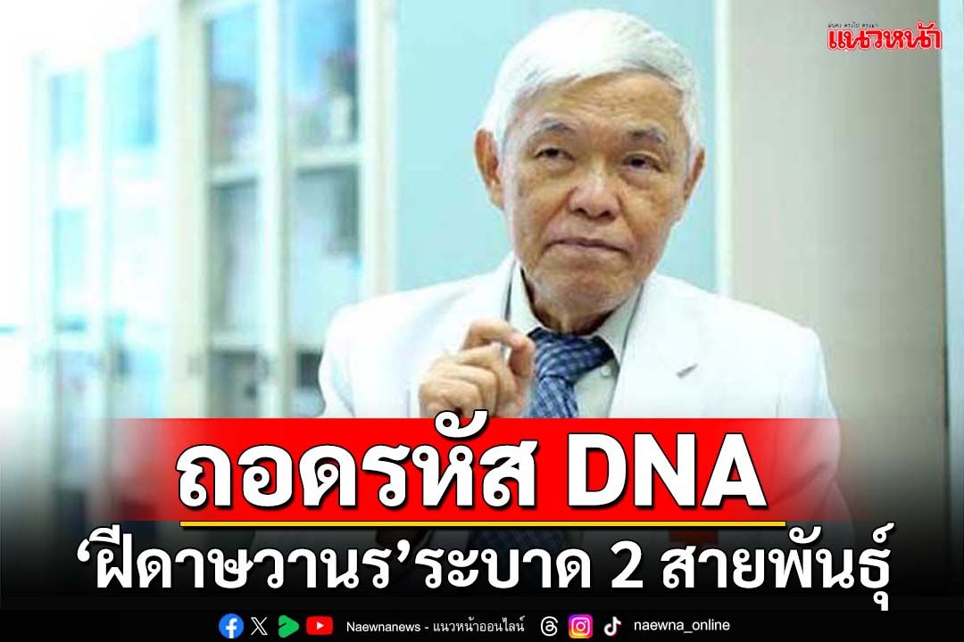 ถอดรหัส DNA! ‘หมอยง’เผย‘ฝีดาษวานร’ที่ระบาดตอนนี้มี 2 สายพันธุ์