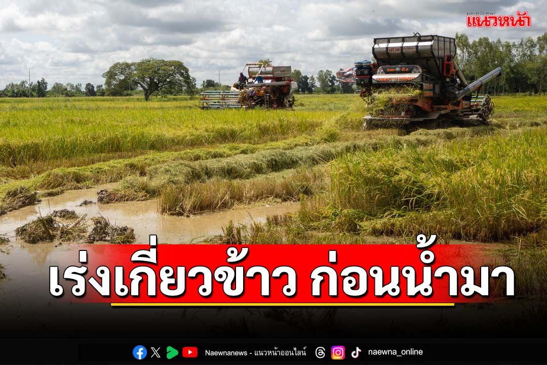 ‘พิษณุโลก’เปิดศูนย์ช่วยเหลือเกษตรกร‘เร่งเกี่ยวข้าว ก่อนน้ำมา’