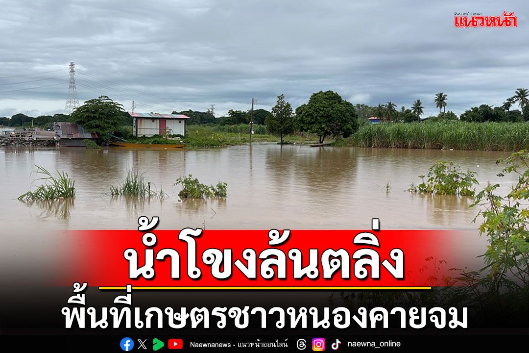 น้ำโขงหนองคายยังน่าห่วง! พื้นที่เกษตรของชาวบ้านจมน้ำร่วมสัปดาห์แล้ว