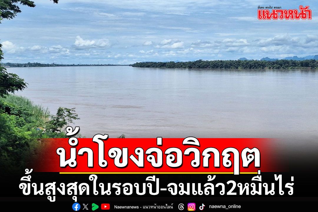 น้ำโขงดีดสูงสุดรอบปี นาข้าวจมบาดาลกว่า 2 หมื่นไร่ เตรียมประกาศเป็นพื้นที่ประสบภัย