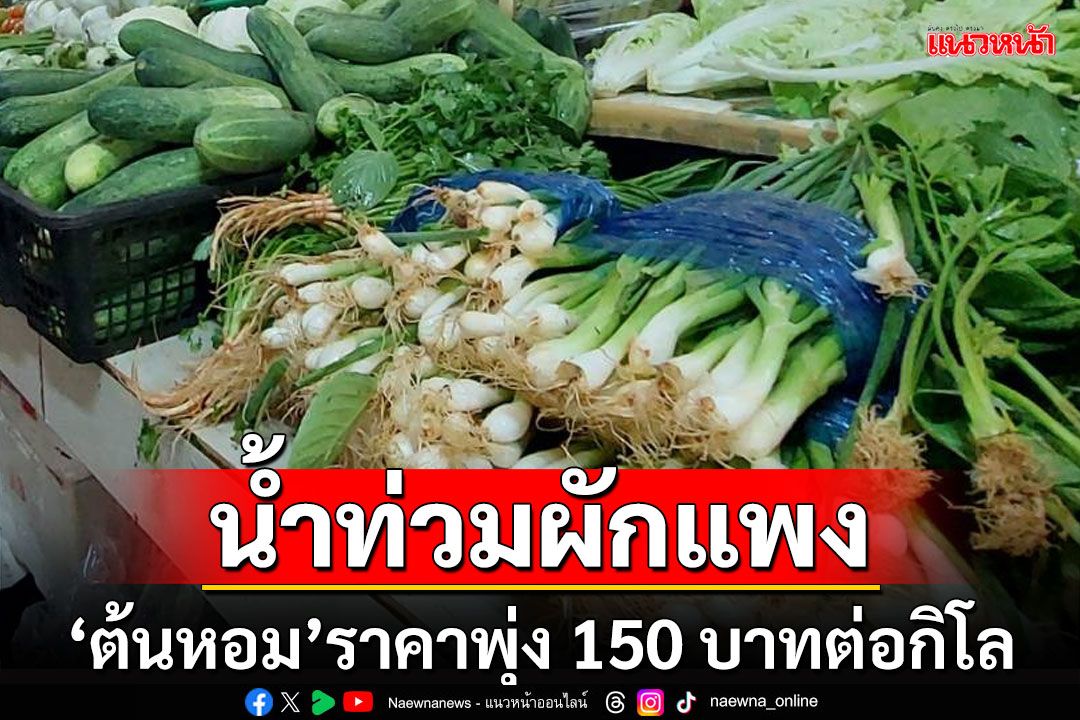 ราคาผักพุ่งรับน้ำท่วม 'ต้นหอม'ขึ้นวันเดียวจาก 90 เป็น 150 บาทต่อกิโล