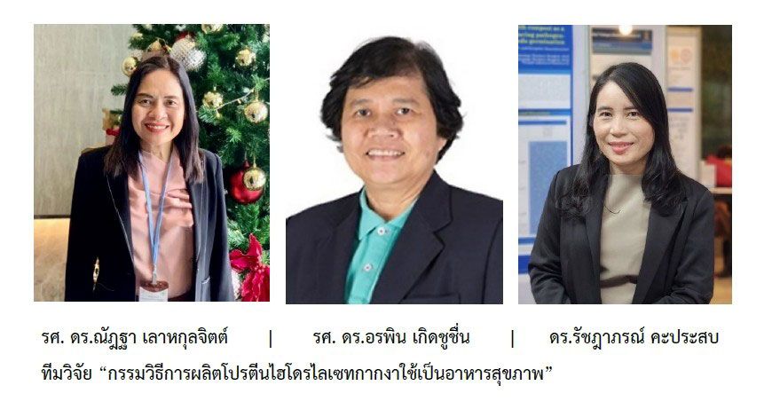 นักวิจัย‘มจธ.’ค้นพบกลิ่นรส‘ช็อกโกเลต’ โดยการสกัดโปรตีนจากกากงาด้วยโบรมิเลนฯ
