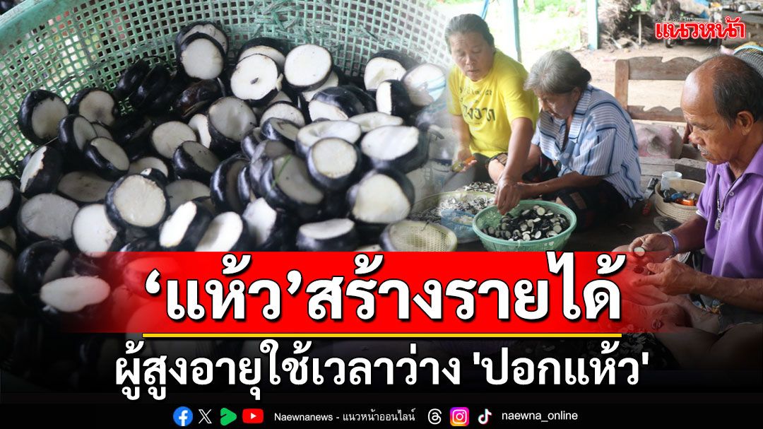 ผู้สูงอายุใช้เวลาว่าง 'ปอกแห้ว' ส่งตลาดสร้างรายได้