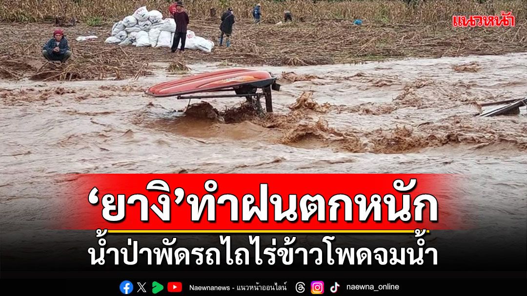 พายุยางิ! ช้ำเติมชาวบ้านทำฝนตกหนักน้ำป่าพัดรถไถไร่ข้าวโพดจมน้ำ