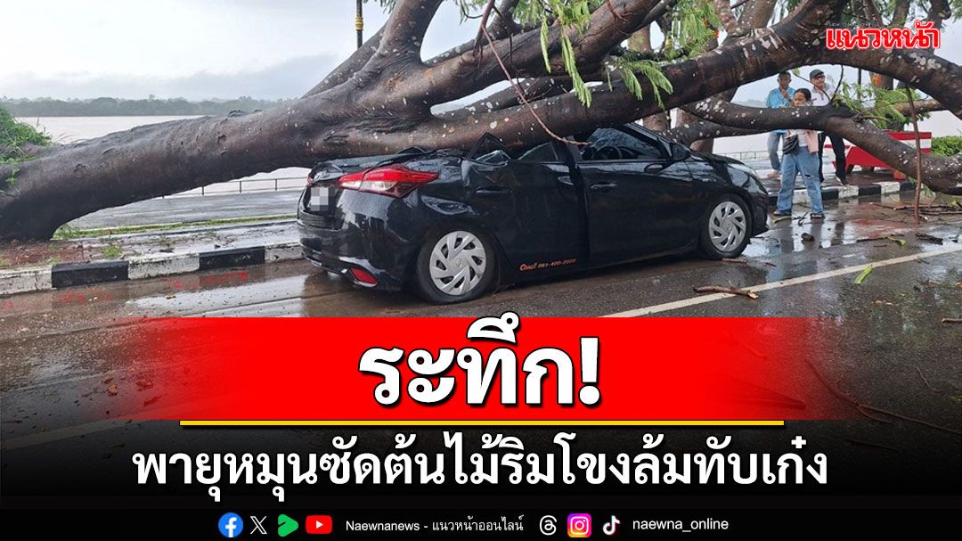 ระทึกพายุหมุนพัดถล่มต้นไม้ใหญ่ริมโขงนครพนมโค่นทับรถยนต์พังเสียหาย