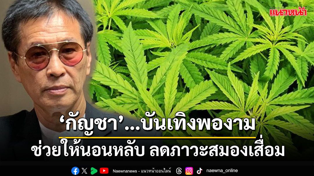 ‘หมอธีระวัฒน์’ถอดงานวิจัย พบใช้‘กัญชา’บันเทิงพองาม ลดภาวะสมองเสื่อม