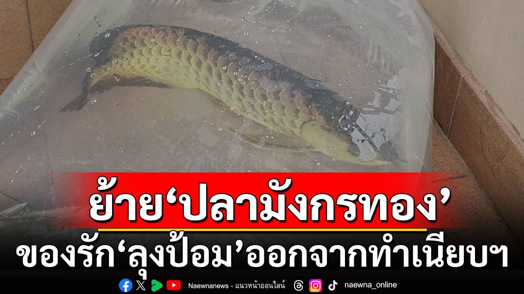 ฤกษ์ดี 9 เดือน 9 ย้าย 'ปลามังกรทอง' ของรัก 'ลุงป้อม' ออกจากทำเนียบฯแล้ว