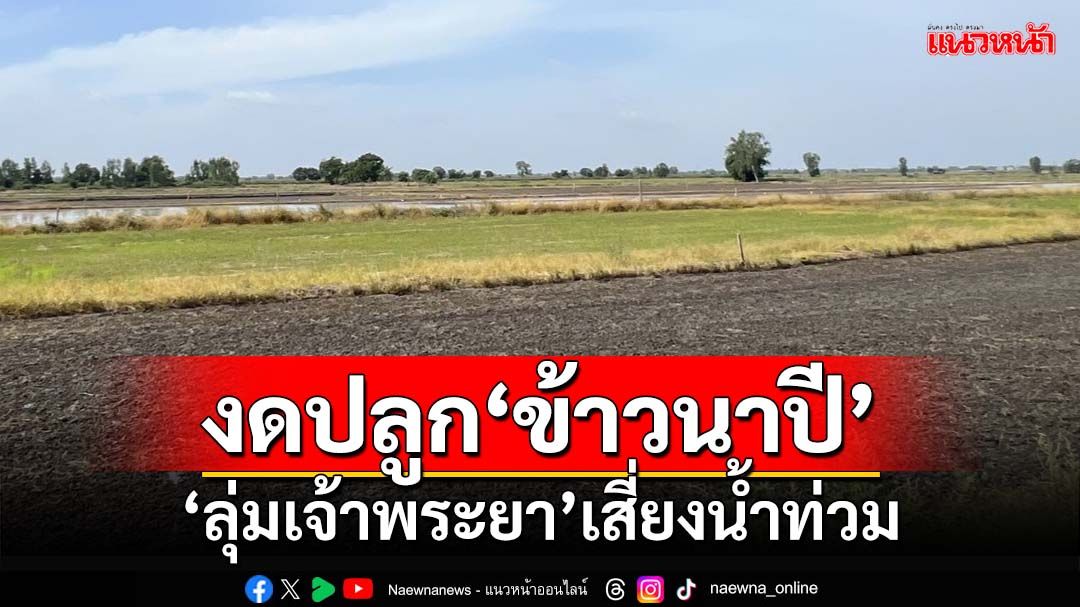 ‘กรมชลประทาน’ขอเกษตรกรลุ่มเจ้าพระยา งดปลูก‘ข้าวนาปี’ต่อเนื่อง ลดเสี่ยงน้ำท่วม