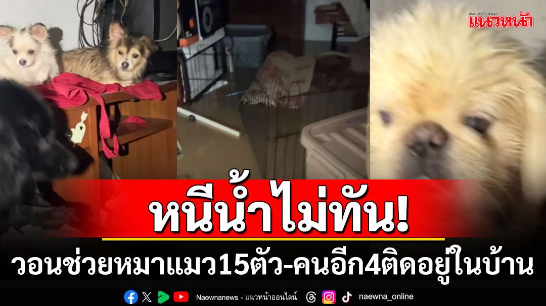 ช่วยพวกเราด้วย! สาวโพสต์เฟซขอความช่วยเหลือ หมาแมว15ตัว-คนอีก4ชีวิตติดอยู่ในบ้าน