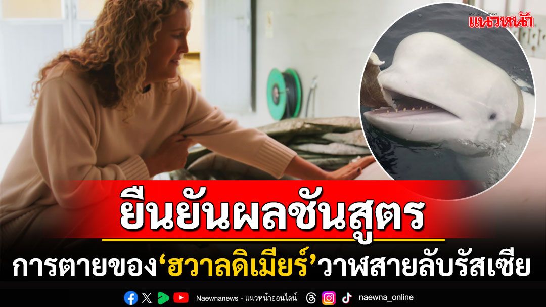 ผลชันสูตรยืนยันแล้ว! 'วาฬสายลับรัสเซีย'ตายด้วยสาเหตุธรรมชาติ พบกิ่งไม้เสียบที่ปาก