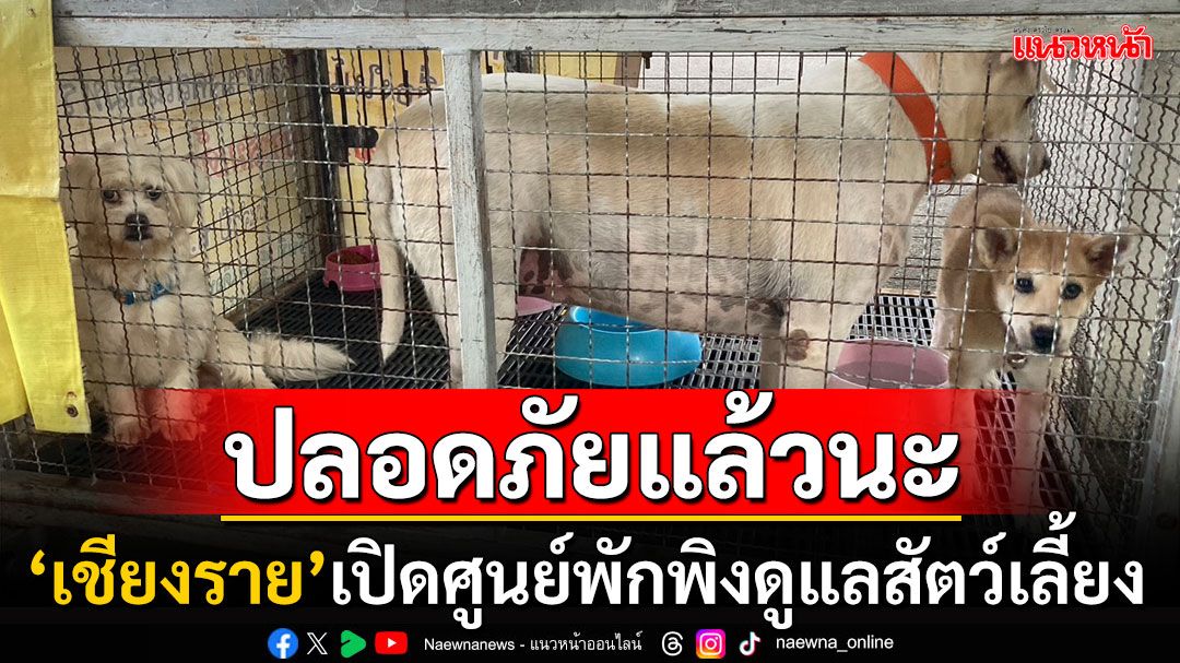 ช่วยน้องหมาน้องแมว! 'ปศุสัตว์เชียงราย'เปิดศูนย์พักพิงสัตว์เลี้ยง กรง-น้ำ-อาหารพร้อมดูแล