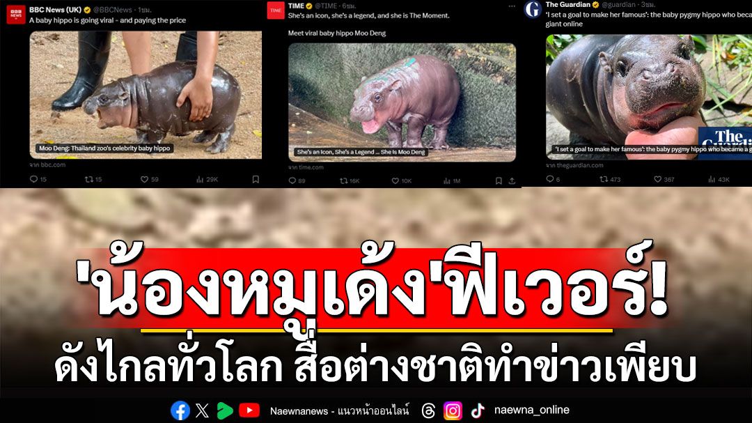 'น้องหมูเด้ง'ฟีเวอร์! ดังไกลทั่วโลก สื่อต่างชาติทำข่าวเพียบ