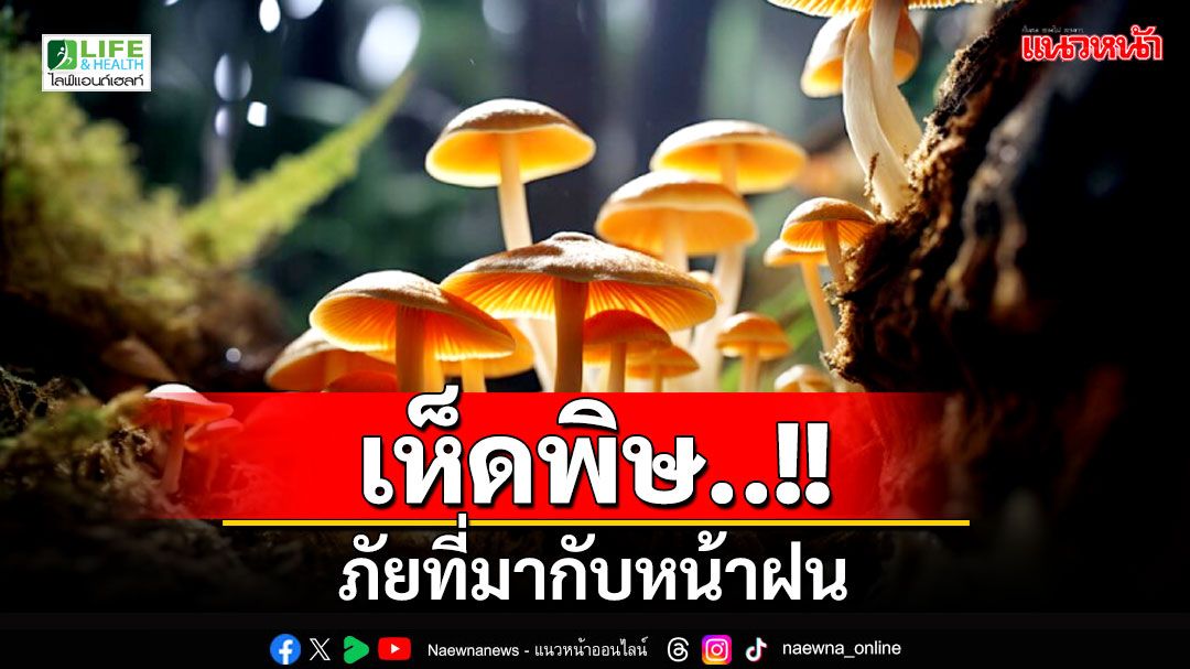 Life & Health : เห็ดพิษ...ภัยที่มากับหน้าฝน