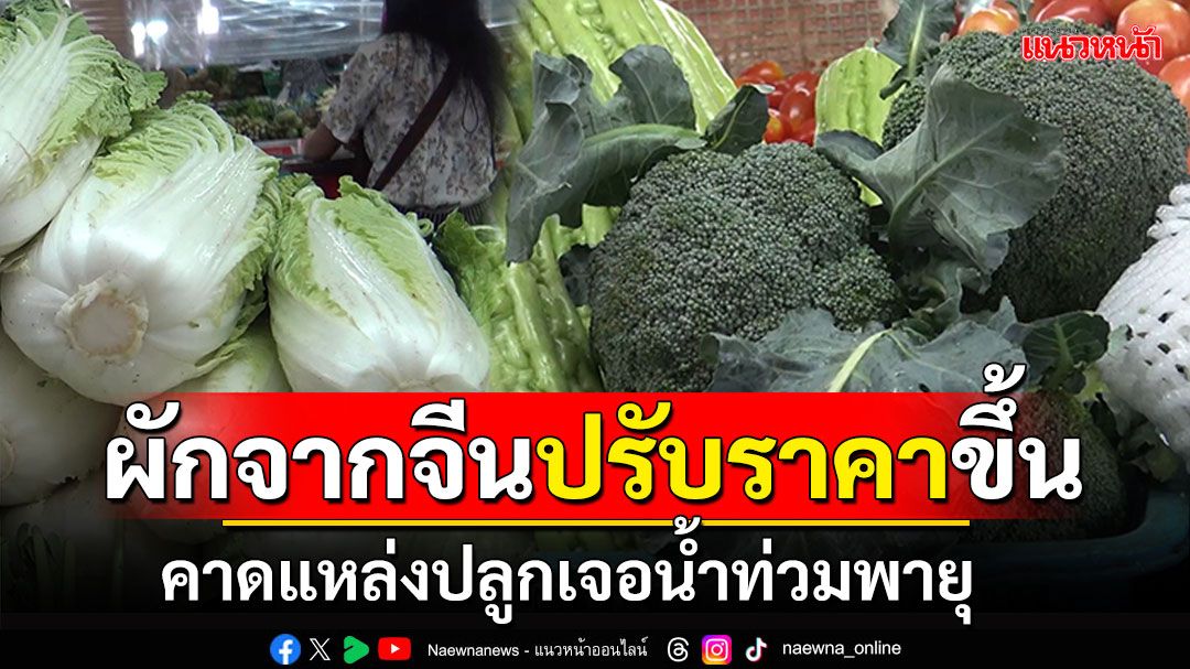 ผักจากจีนปรับราคาขึ้น! 'บล็อคโคลี่-ผักกาดขาว' คาดแหล่งปลูกเจออุทกภัยพายุ