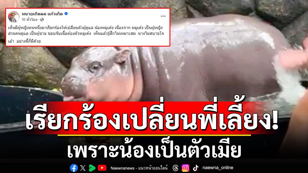 'ทนายเกิดผล'งงหนัก! แฟนคลับ 'หมูเด้ง' เรียกร้องให้เปลี่ยนพี่เลี้ยง เพราะน้องเป็นตัวเมีย