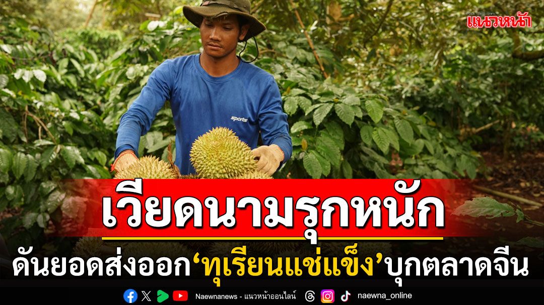 'เวียดนาม'รุกหนัก! ดันยอดส่งออก'ทุเรียนแช่แข็ง'บุกตลาดจีน  พุ่งแตะ9พันล้านบาท