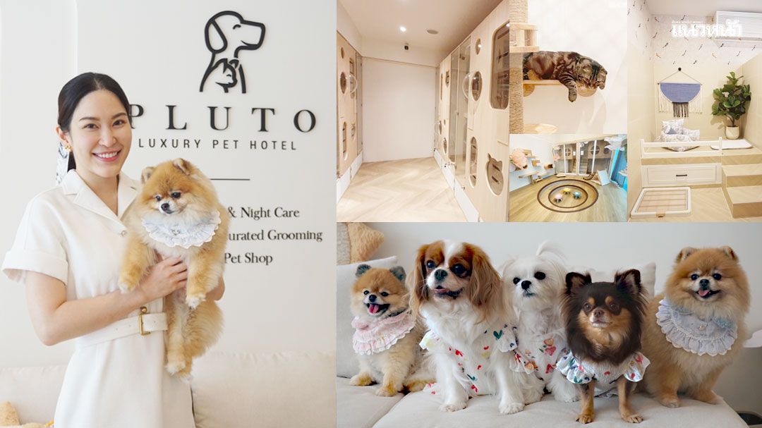 พาลูกๆ มาพักผ่อน ที่ ‘Pluto Luxury Pet Hotel’ บริการครบวงจร ดูแลเหมือนอยู่บ้านตัวเอง