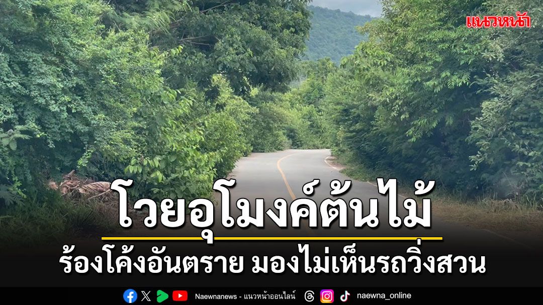 ชาวบ้านร้องอุโมงค์ต้นไม้ ปกคลุมพื้นผิวถนนทั้ง 2 ฝั่ง สัญจรไปมาลำบาก