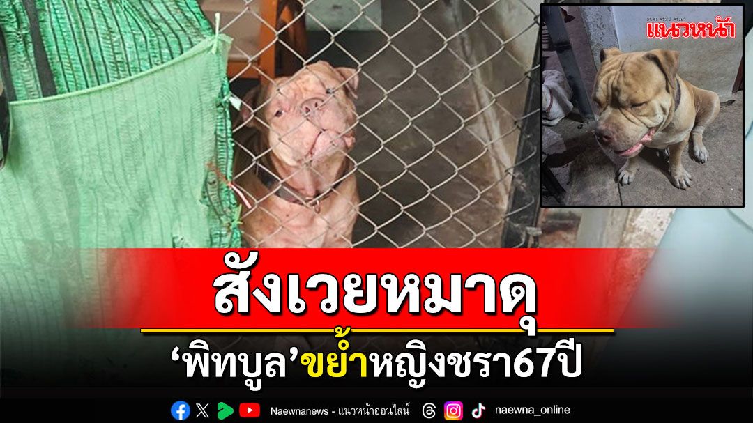 สังเวยหมาดุ! 'พิทบูล'ขย้ำหญิงชรา67ปี ขณะปั่นจักรยานกลับบ้าน