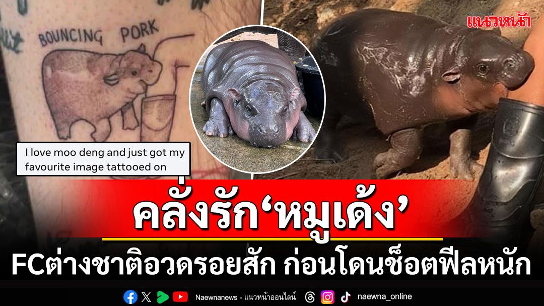 ไอเลิฟฮิปโป! หนุ่มต่างชาติโดนตกสักรูป'หมูเด้ง'สวบขา เพจดังออกมาเฉลยทำเอาช็อตฟีลหนักมาก