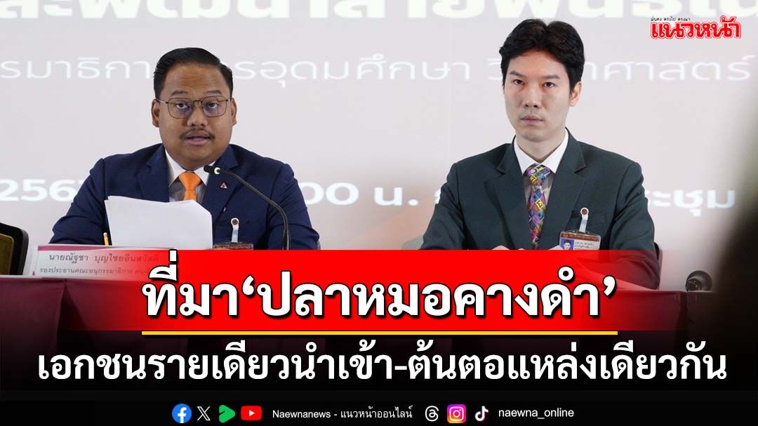 เปิดผลศึกษา‘ปลาหมอคางดำ’ระบาด พบเอกชนรายเดียวนำเข้า-ต้นตอแหล่งเดียวกัน