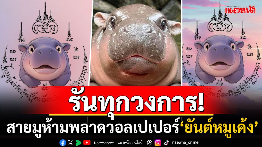 รันวงการสายมู! หนุ่มทำ'ยันต์หมูเด้ง'แจกฟรี การันตีใช้แล้วมีแต่คนรัก-คนเมตตา