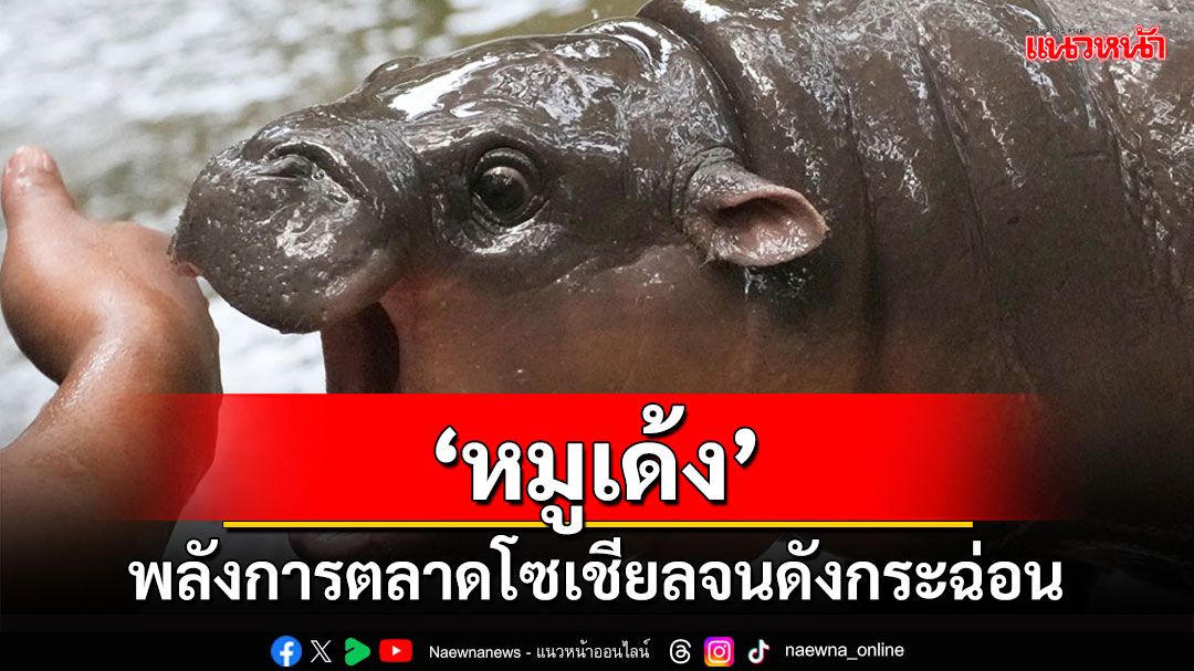 คุยกัน7วันหน : ‘หมูเด้ง’ พลังการตลาดโซเชียลจนดังกระฉ่อน