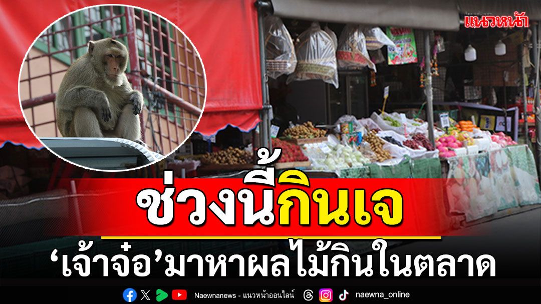 ช่วงนี้กินเจ! 'เจ้าจ๋อ'โผล่ตลาดมาหาผลไม้กิน