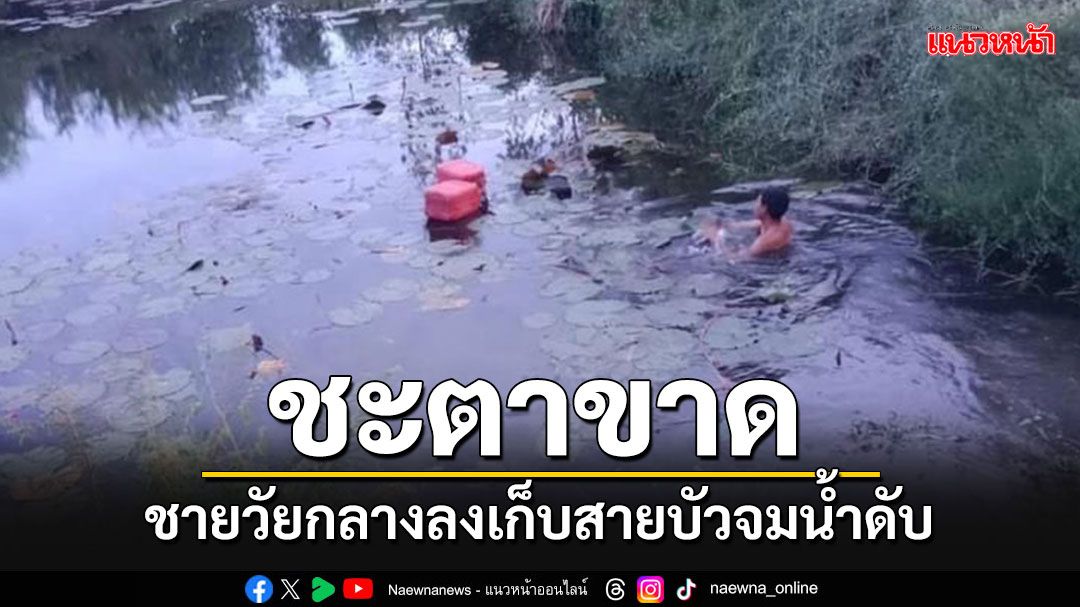 ชายวัยกลาง'ชะตาขาด' ลงเก็บสายบัว จมน้ำหนองส้มโฮงดับอนาถ