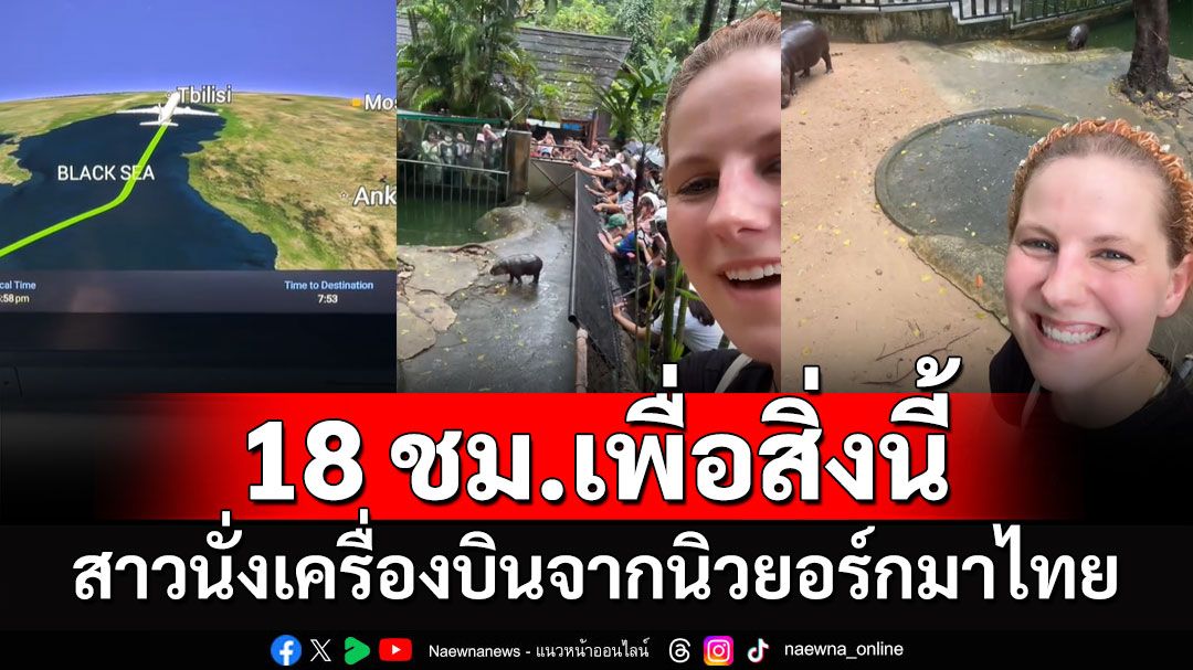 18 ชั่วโมงเพื่อสิ่งนี้! 'หมูเด้ง' ฟีเวอร์ของแท้ สาวนั่งเครื่องบินจากนิวยอร์กมาไทย