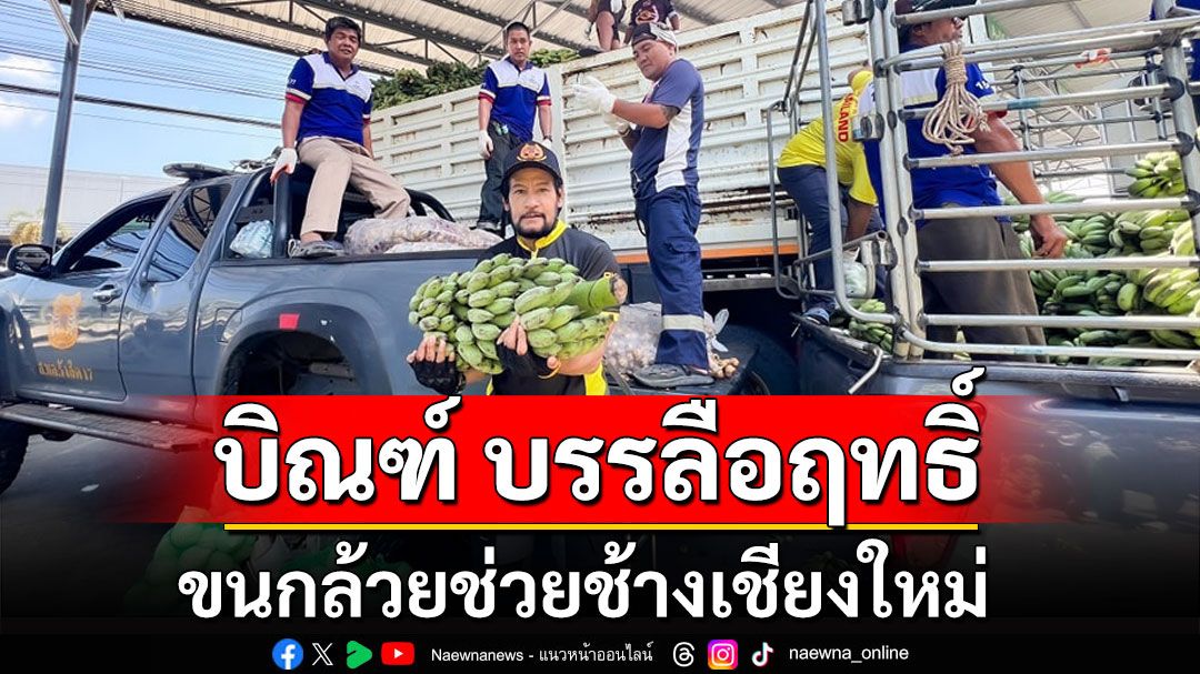 'บิณฑ์ บรรลือฤทธิ์' ขนกล้วยจากตลาดไทช่วยช้างเชียงใหม่