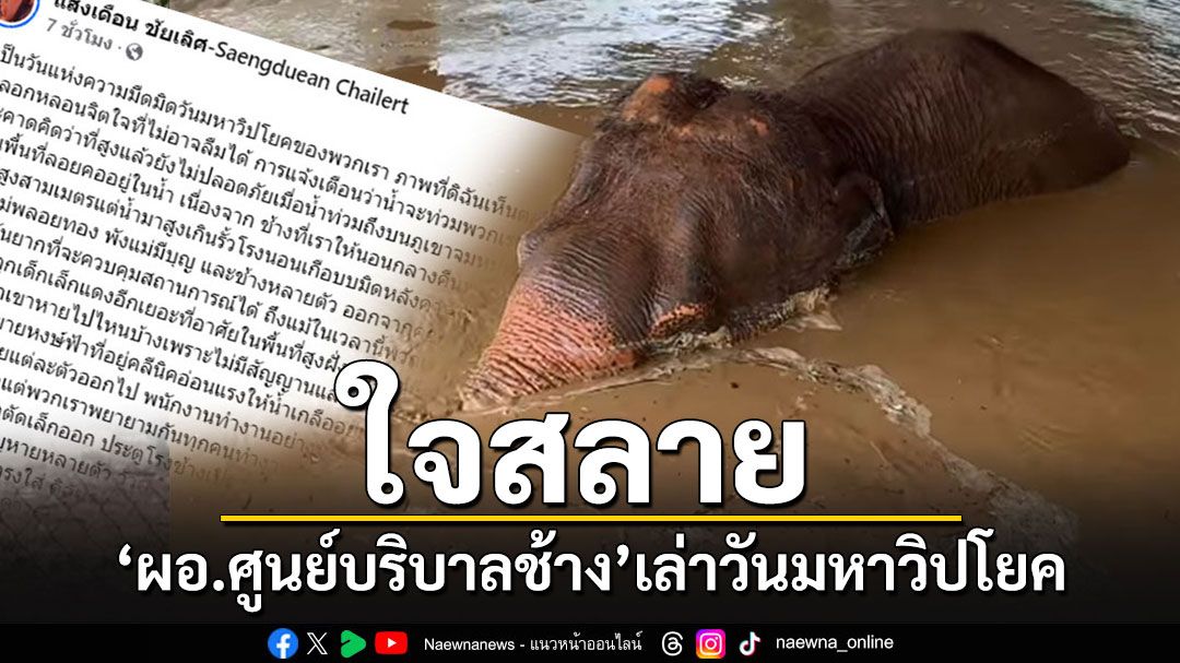 'ผอ.ศูนย์บริบาลช้าง'ใจสลาย เล่าวันมหาวิปโยค หลังรับแจ้งข่าวร้าย'ช้าง 2 เชือก'ล้มแล้ว