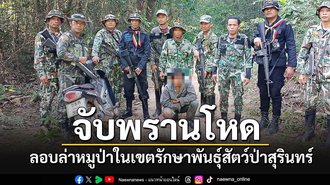 จับ'นายพราน'ใจบาป ลอบล่าหมูป่าในเขตรักษาพันธุ์สัตว์ป่า จ.สุรินทร์