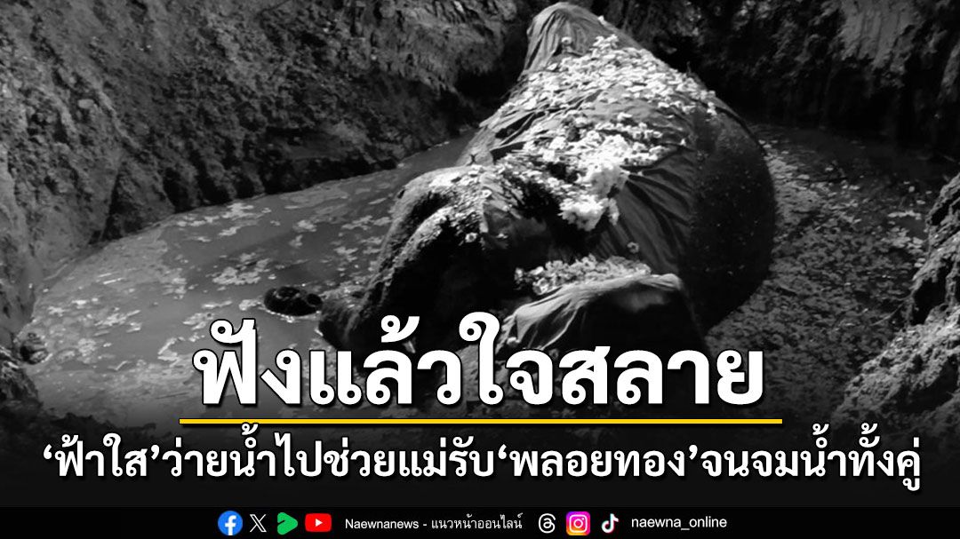 ฟังแล้วใจสลายเลย!! 'วอชด็อก'เล่าว่า'ฟ้าใส'ว่ายน้ำไปช่วยแม่รับ'พลอยทอง'จนจมน้ำไปทั้งคู่